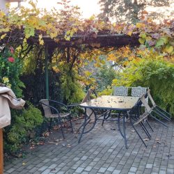 dézsafürdő Miskolctapolca