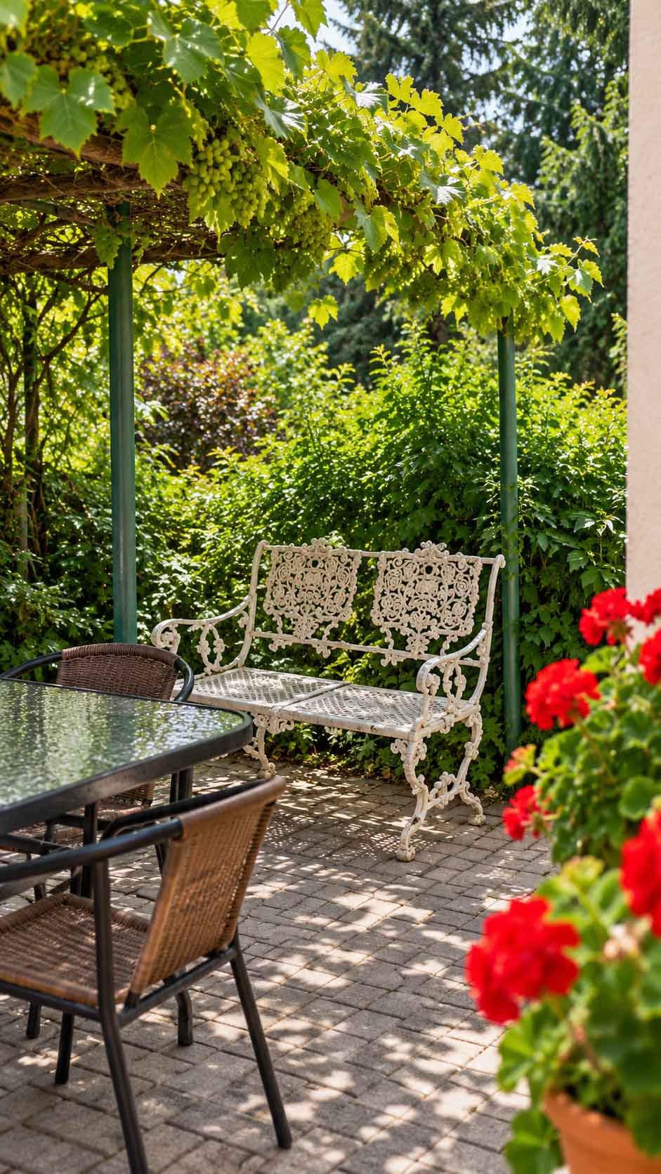 Lugas Apartman**** Miskolctapolca - Kiadó Apartman 5 A Lugas Apartman névadó szőlőlugasa