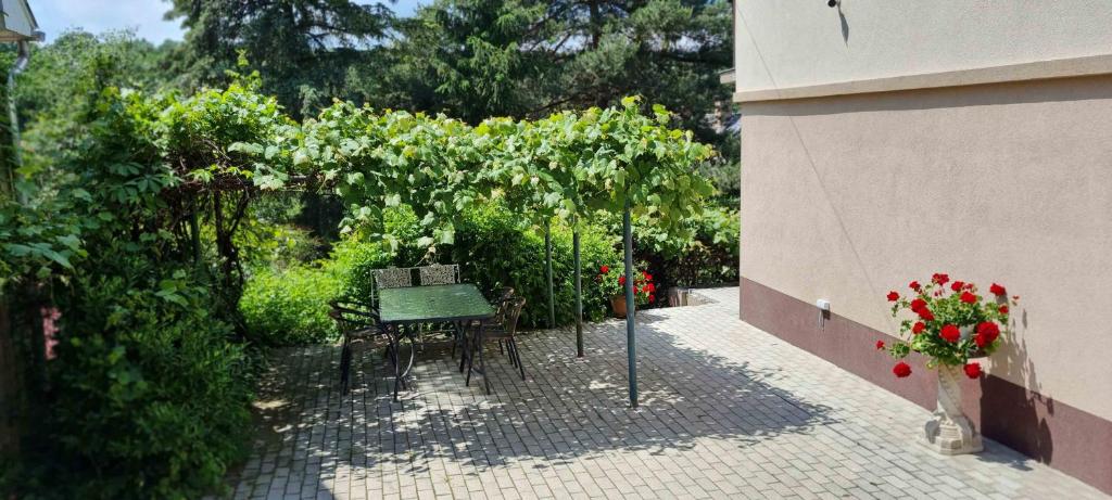 Mit lehet tudni rólunk? 1 A Lugas Apartman udvara szőlőlugassal