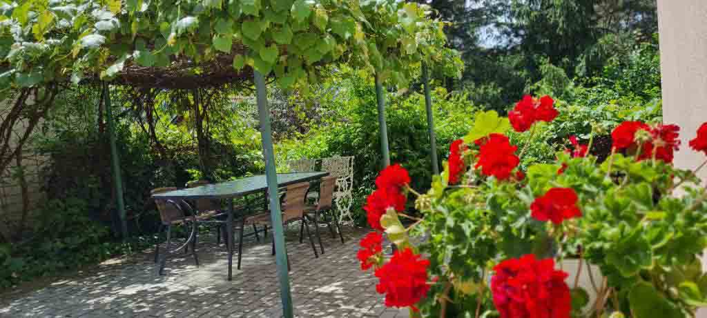Lugas Apartman**** Miskolctapolca - Kiadó Apartman 10 Szőlőlugas virágokkal